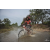 Team 122 / Raid Amazones Cambodge 2018 - J3 VTT