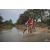 Team 33 / Raid Amazones Cambodge 2018 - J3 VTT