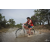 Team 123 / Raid Amazones Cambodge 2018 - J3 VTT