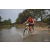 Team 108 / Raid Amazones Cambodge 2018 - J3 VTT