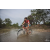Team 21 / Raid Amazones Cambodge 2018 - J3 VTT