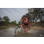Team 15 / Raid Amazones Cambodge 2018 - J3 VTT