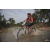 Team 19 / Raid Amazones Cambodge 2018 - J3 VTT