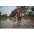 Team 121 / Raid Amazones Cambodge 2018 - J3 VTT
