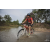 Team 102 / Raid Amazones Cambodge 2018 - J3 VTT