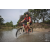 Team 26 / Raid Amazones Cambodge 2018 - J3 VTT