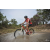 Team 120 / Raid Amazones Cambodge 2018 - J3 VTT