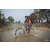 Team 29 / Raid Amazones Cambodge 2018 - J3 VTT