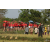 Raid Amazones Cambodge 2018 - J3 VTT