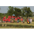 Raid Amazones Cambodge 2018 - J3 VTT