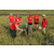Raid Amazones Cambodge 2018 - J3 VTT