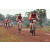 Team 41 / Raid Amazones Cambodge 2018 - J3 VTT
