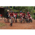 Raid Amazones Cambodge 2018 - J3 VTT
