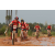 Team 13 / Raid Amazones Cambodge 2018 - J3 VTT
