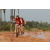 Team 101 / Raid Amazones Cambodge 2018 - J3 VTT