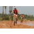 Team 12 / Raid Amazones Cambodge 2018 - J3 VTT