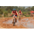 Team 41 / Raid Amazones Cambodge 2018 - J3 VTT