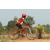 Team 122 / Raid Amazones Cambodge 2018 - J3 VTT