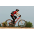 Team 43 / Raid Amazones Cambodge 2018 - J3 VTT