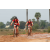 Team 20 / Raid Amazones Cambodge 2018 - J3 VTT