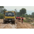Raid Amazones Cambodge 2018 - J3 VTT