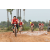 Team 29 / Raid Amazones Cambodge 2018 - J3 VTT