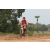 Team 27 / Raid Amazones Cambodge 2018 - J3 VTT