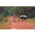 Raid Amazones Cambodge 2018 - J3 VTT