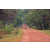Raid Amazones Cambodge 2018 - J3 VTT