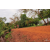 Raid Amazones Cambodge 2018 - J3 VTT
