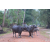 Raid Amazones Cambodge 2018 - J3 VTT