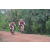 Team 08 / Raid Amazones Cambodge 2018 - J3 VTT