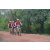 Team 113 / Raid Amazones Cambodge 2018 - J3 VTT