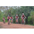 Team 109 / Raid Amazones Cambodge 2018 - J3 VTT