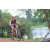 Team 107 / Raid Amazones Cambodge 2018 - J3 VTT