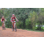 Team 16 / Raid Amazones Cambodge 2018 - J3 VTT
