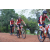 Team 36 / Raid Amazones Cambodge 2018 - J3 VTT
