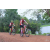 Team 128 / Raid Amazones Cambodge 2018 - J3 VTT