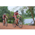 Team 20 / Raid Amazones Cambodge 2018 - J3 VTT