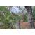 Team 39 / Raid Amazones Cambodge 2018 - J3 VTT