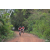 Team 35 / Raid Amazones Cambodge 2018 - J3 VTT
