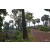 Raid Amazones Cambodge 2018 - J3 VTT