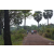 Raid Amazones Cambodge 2018 - J3 VTT