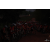 Raid Amazones Cambodge 2018 - J3 VTT