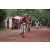 Team 110 / Raid Amazones Cambodge 2018 - J3 VTT