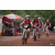 Team 135 / Raid Amazones Cambodge 2018 - J3 VTT