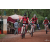 Team 23 / Raid Amazones Cambodge 2018 - J3 VTT