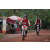 Team 02 / Raid Amazones Cambodge 2018 - J3 VTT
