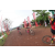 Team 31 / Raid Amazones Cambodge 2018 - J3 VTT