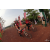 Team 36 / Raid Amazones Cambodge 2018 - J3 VTT